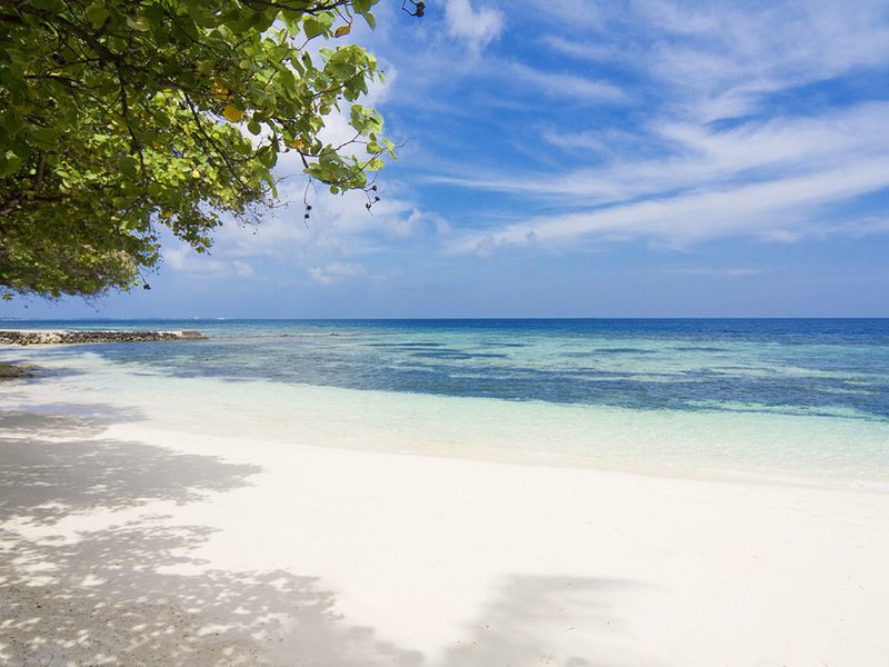 Equator Village 134707