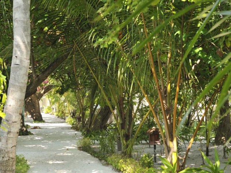 Eri Maldives (ex 134722