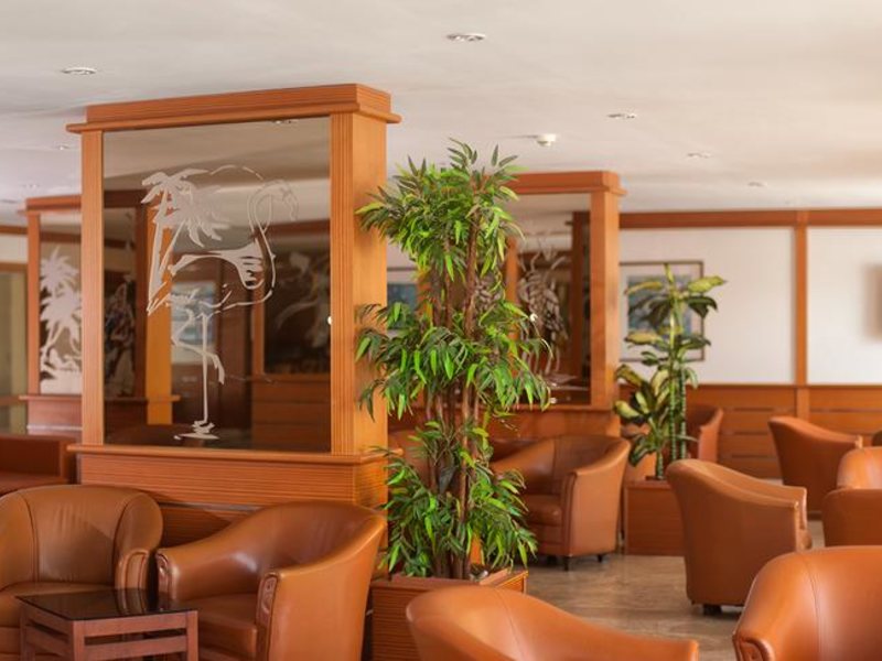 Esra Hotel and Family Suites 186059