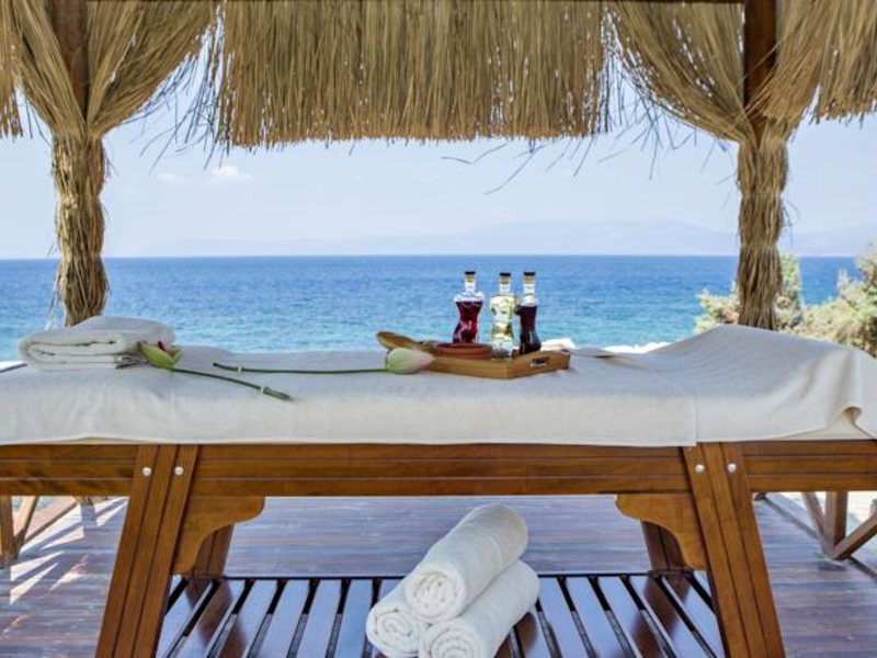 Euphoria Aegean Resort & Spa 71753