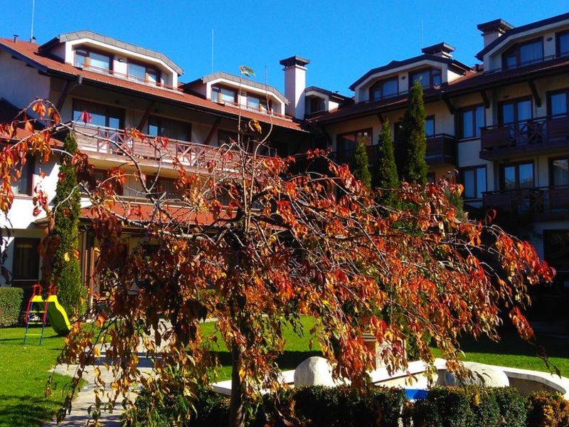 Evelina Palace 236380