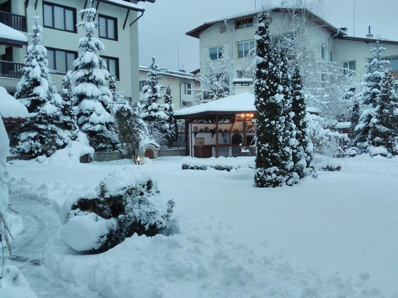 Evelina Palace 236384