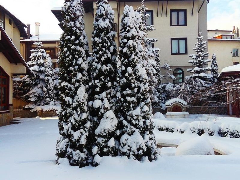 Evelina Palace 236385