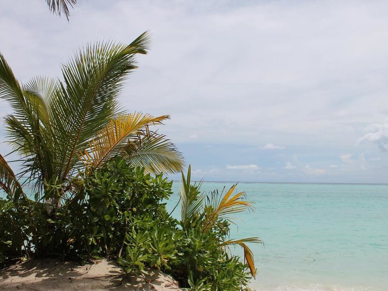 Evila Inn Thoddoo 324857