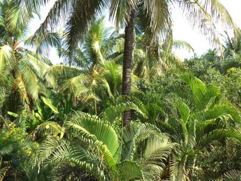 Failaka Hotel 114212