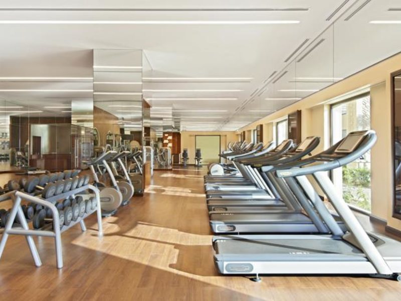 Fairmont The Palm 54282