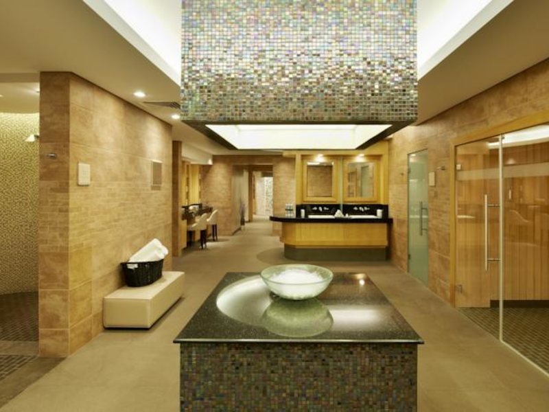 Fairmont The Palm 54313