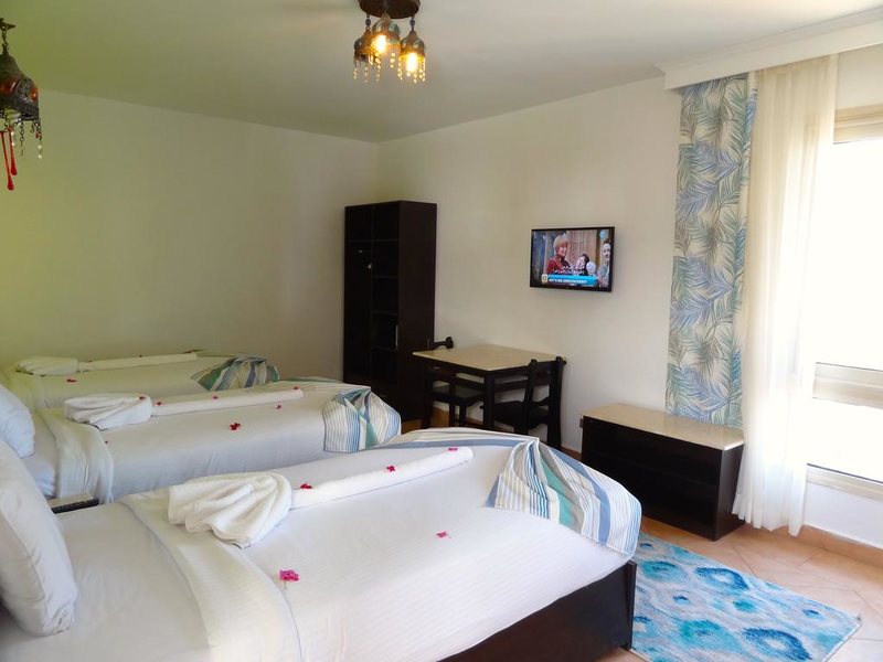 Falcon Naama Blue 293609