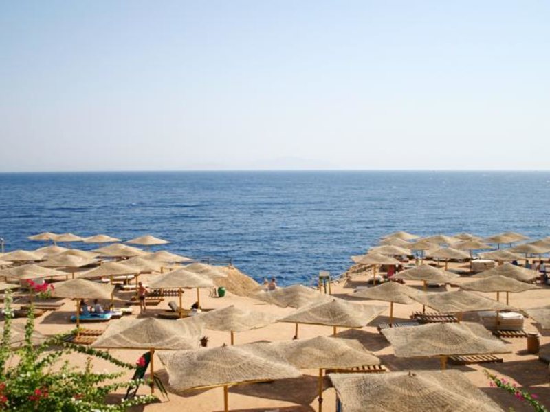 Falcon Naama Blue 57057