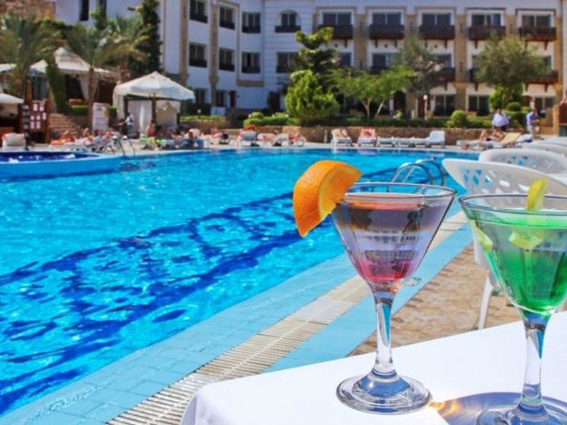 Falcon Naama Star 123746