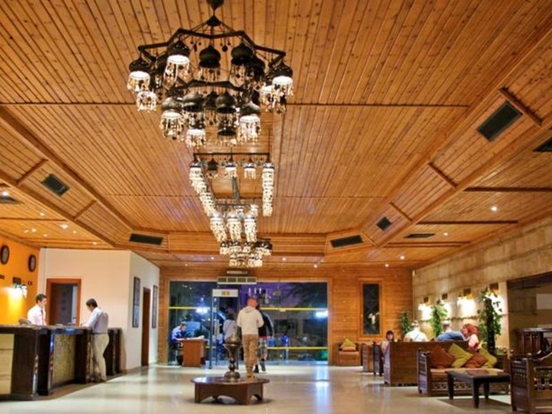 Falcon Naama Star 123748