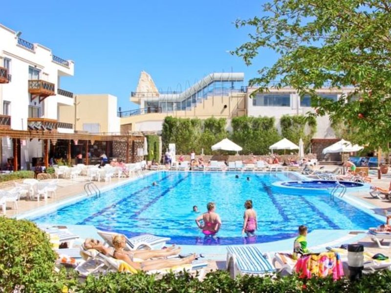 Falcon Naama Star 123750