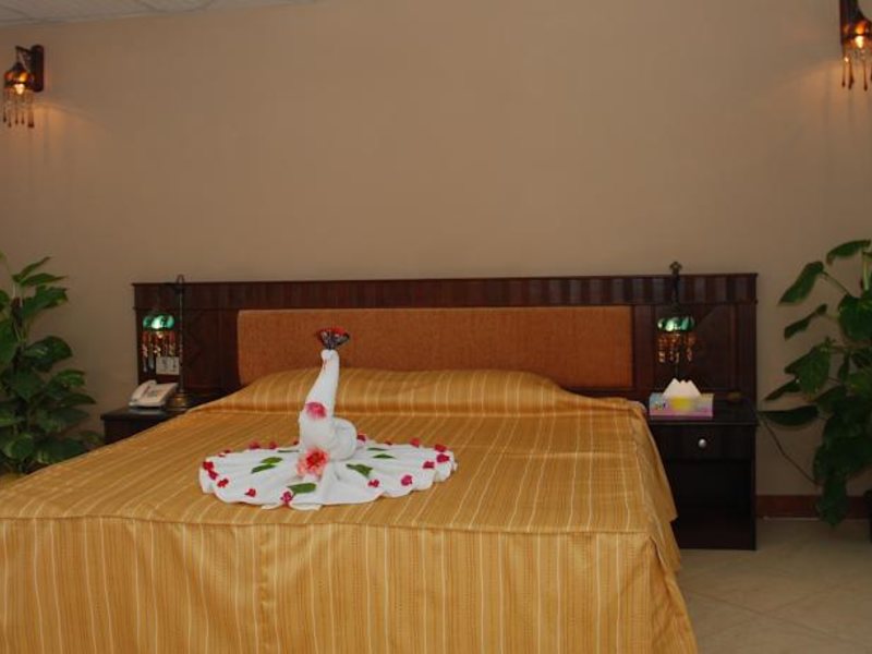 Falcon Naama Star 123751