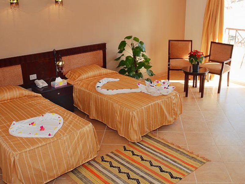 Falcon Naama Star 123752