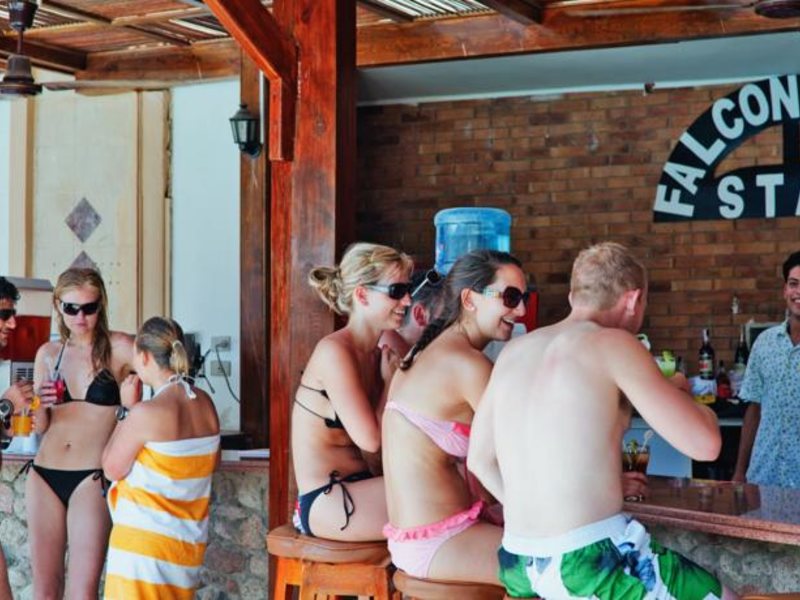 Falcon Naama Star 123759