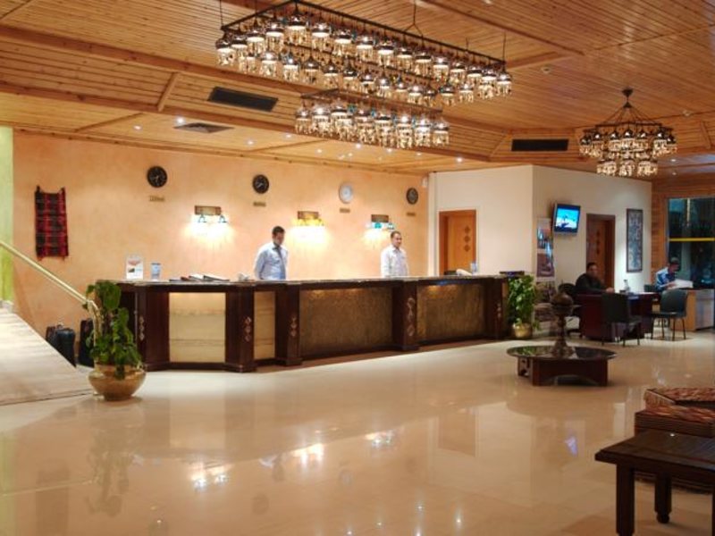 Falcon Naama Star 123763