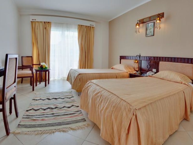 Falcon Naama Star 123764