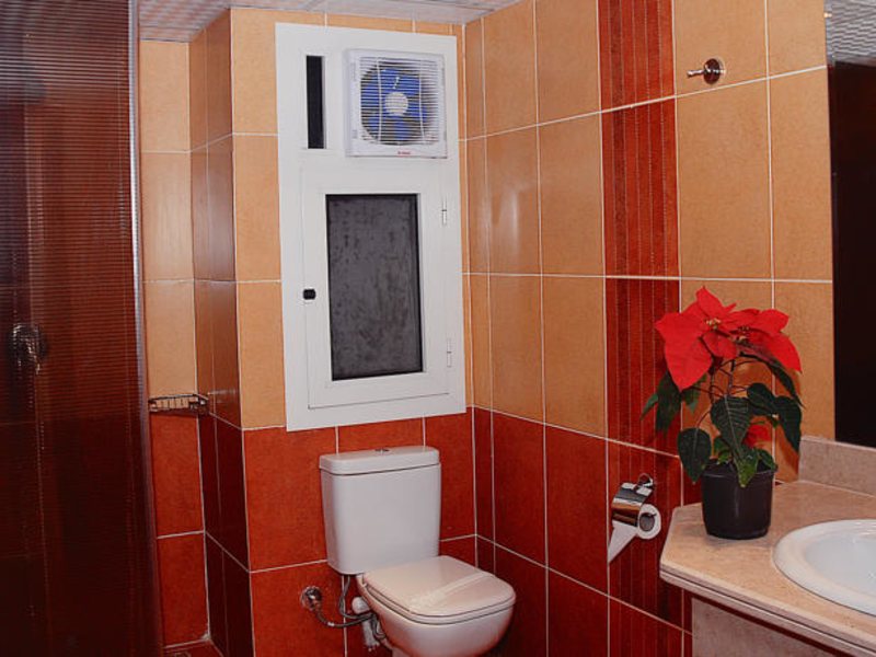 Falcon Naama Star 123766