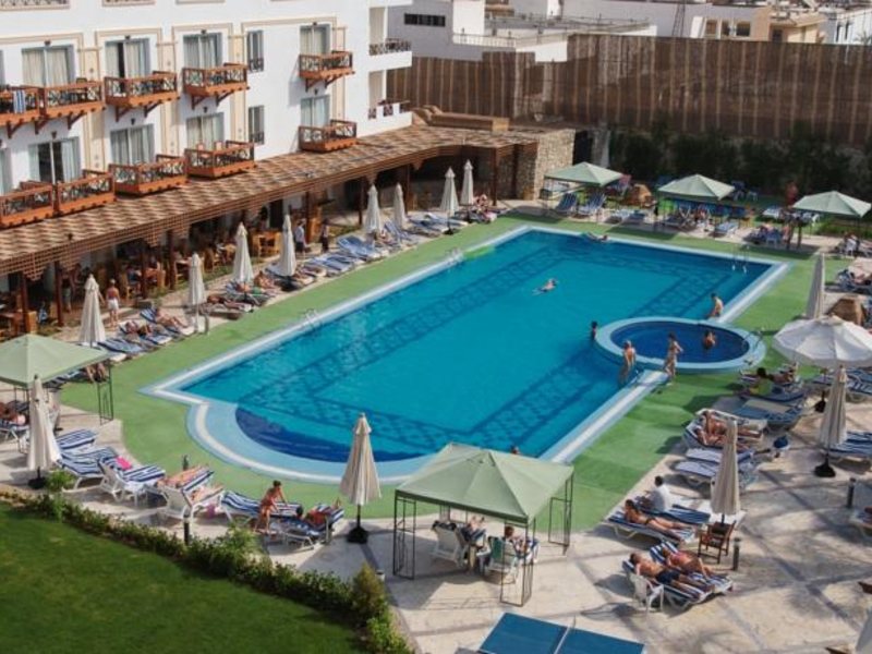 Falcon Naama Star 123772