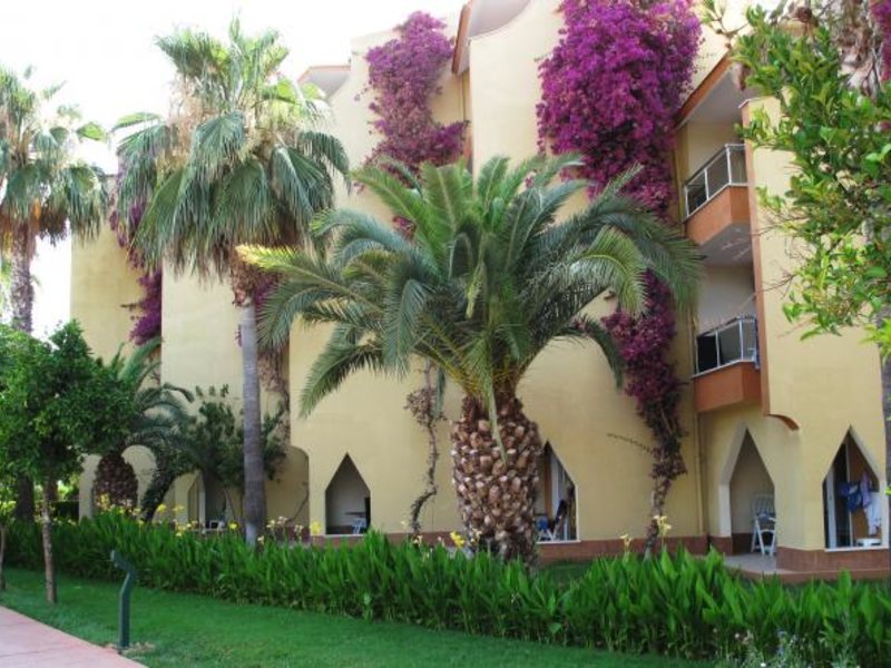 Family Life Pascha Bay 65130