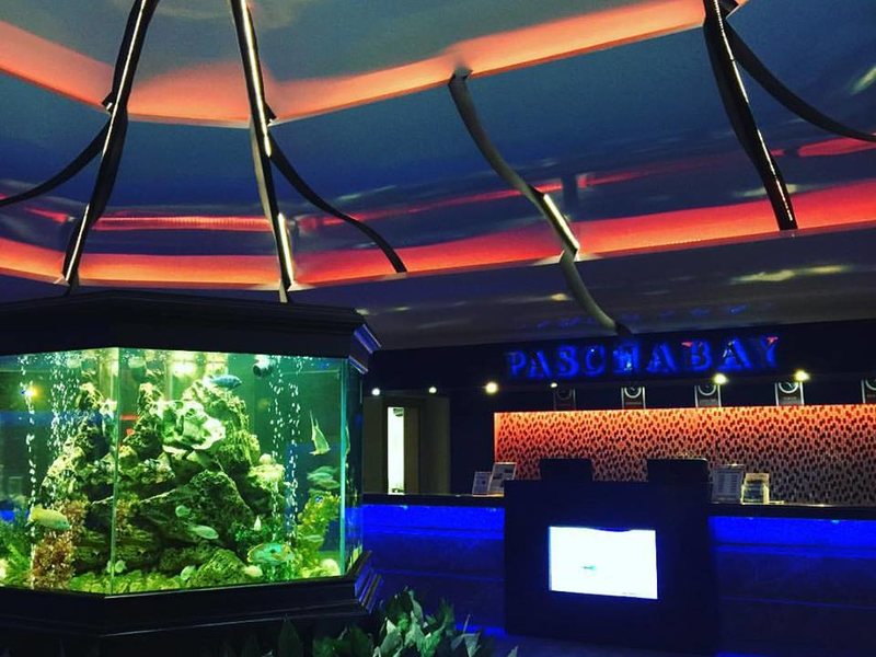 Family Life Pascha Bay 65138