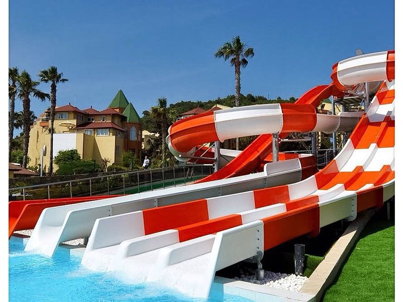 Family Life Pascha Bay 65151