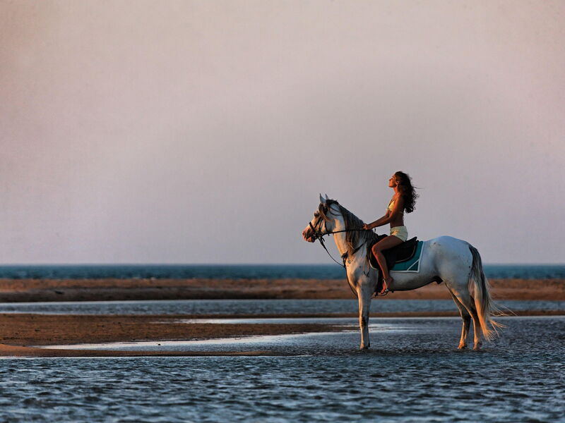 Fanadir El Gouna 326557