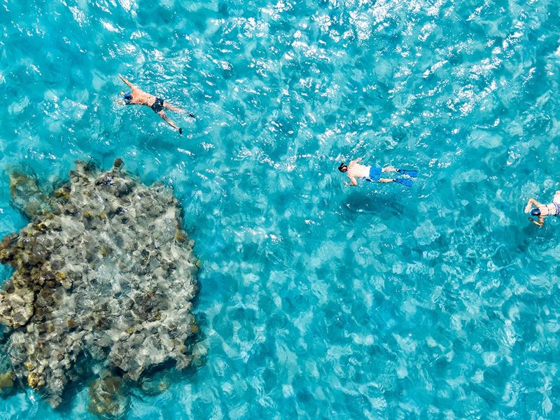 Fantazia Resort 289724