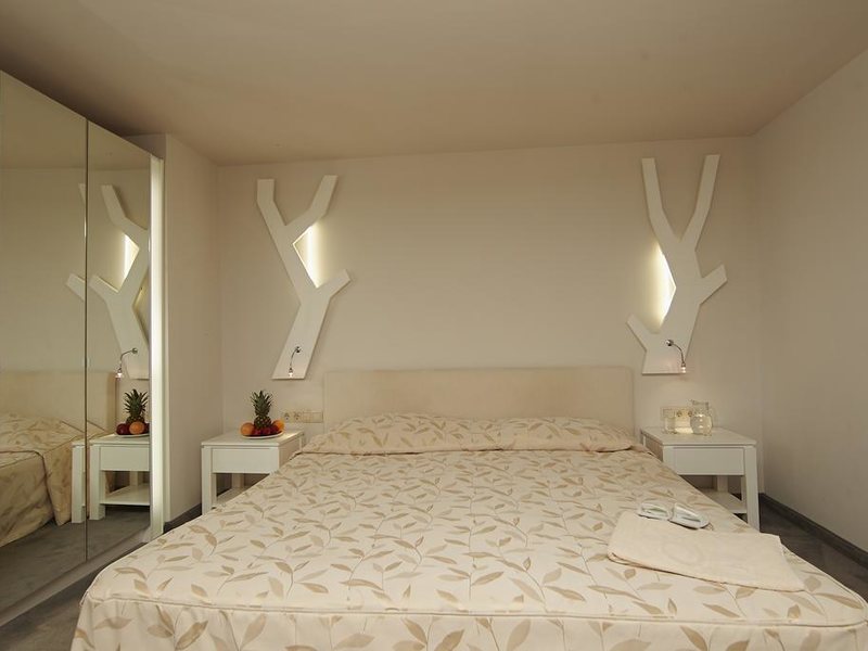 Festa Chamkoria 252886