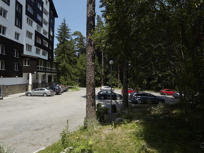 Festa Chamkoria 252901