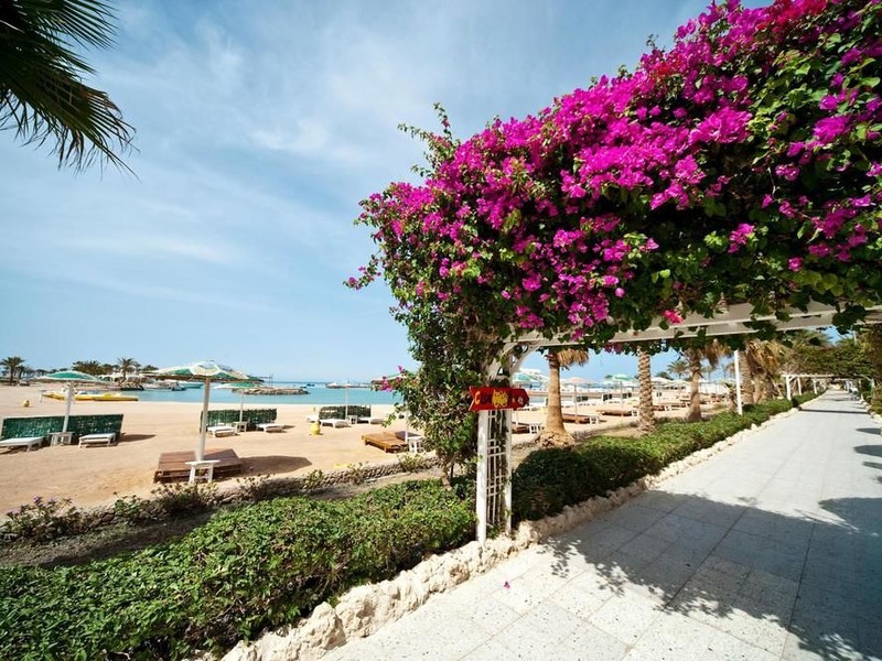 Festival Shedwan Golden Beach Resort 123922