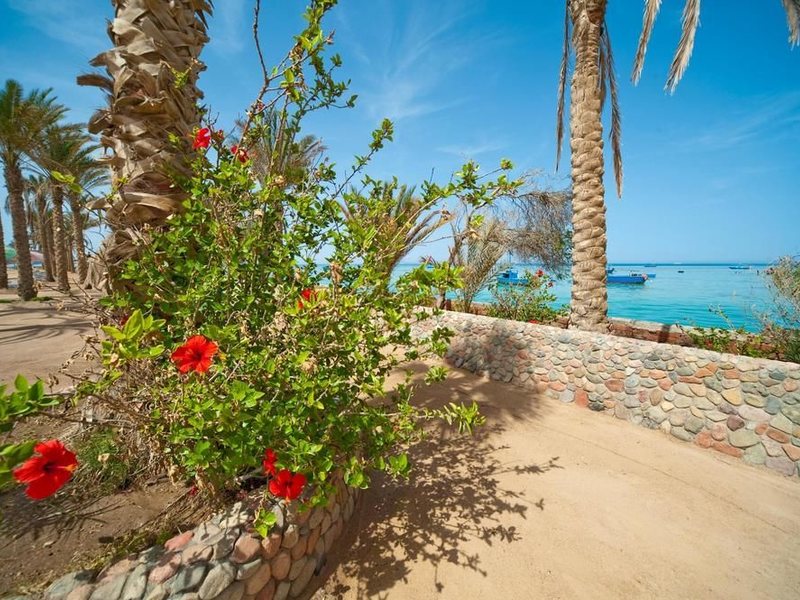 Festival Shedwan Golden Beach Resort 123923