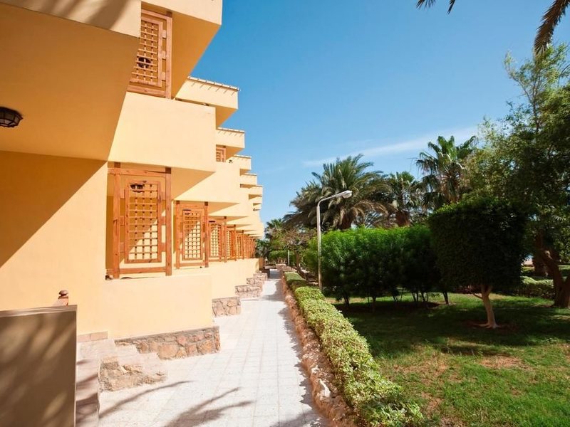 Festival Shedwan Golden Beach Resort 123924