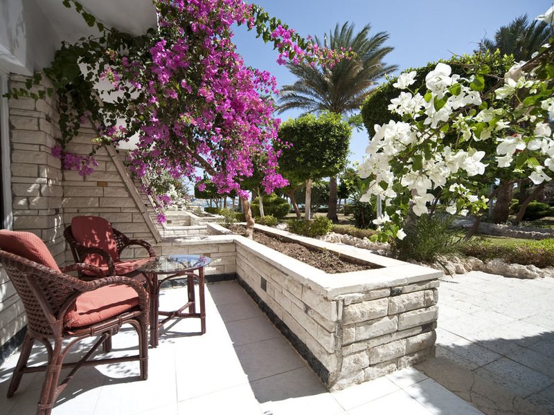 Festival Shedwan Golden Beach Resort 123929