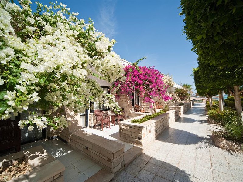 Festival Shedwan Golden Beach Resort 123940