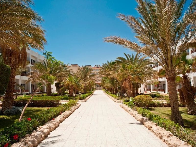 Festival Shedwan Golden Beach Resort 123941