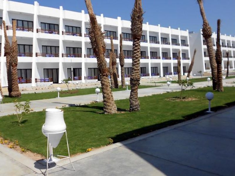 Festival Smart Line 51703