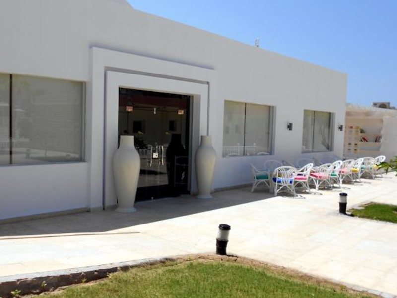 Festival Smart Line 51707