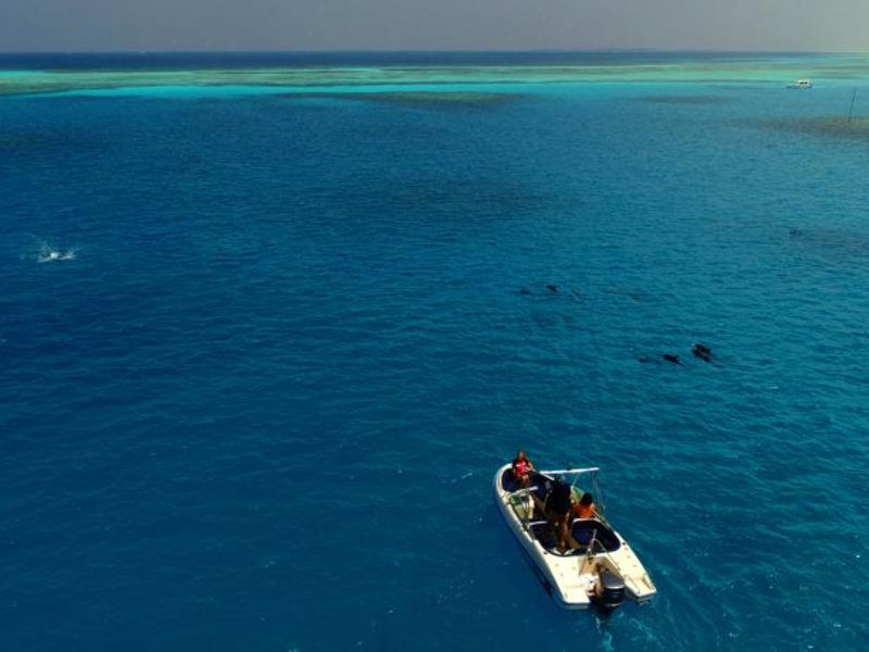 Fihalhohi Tourist Resort 134755