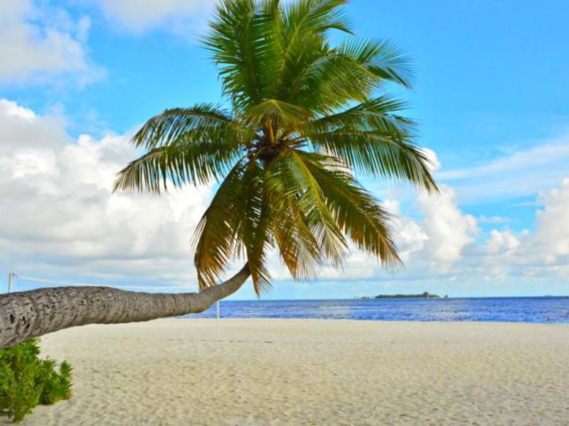 Fihalhohi Tourist Resort 134761