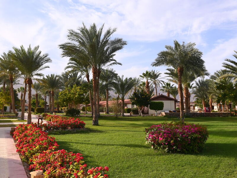 Fiord Club Resort & SPA 328394