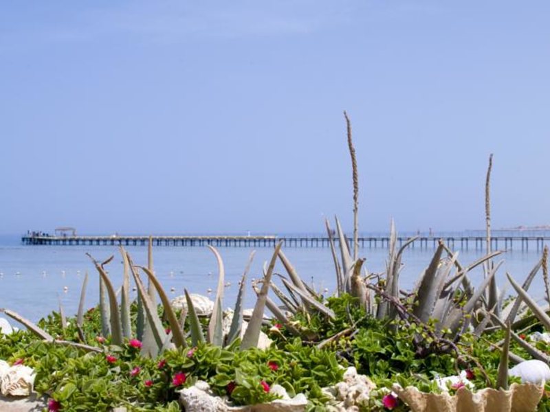 Flamenco Resort 130259