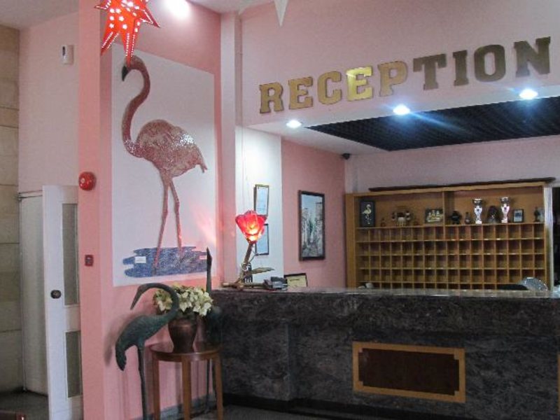 Flamingo Beach Hotel 76441