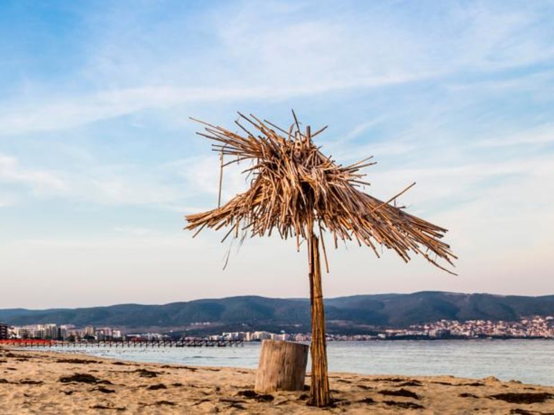 Flamingo Beach (ex 163904