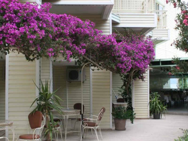 Flamingo Hotel 74657