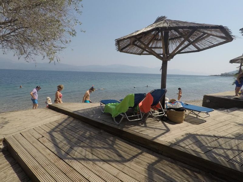 Florida Blue Bay 254187