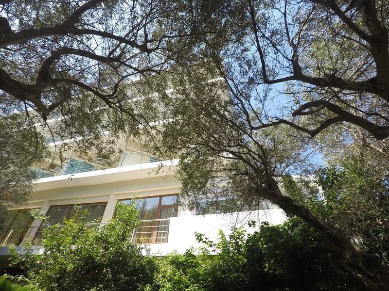 Florida Blue Bay 254195