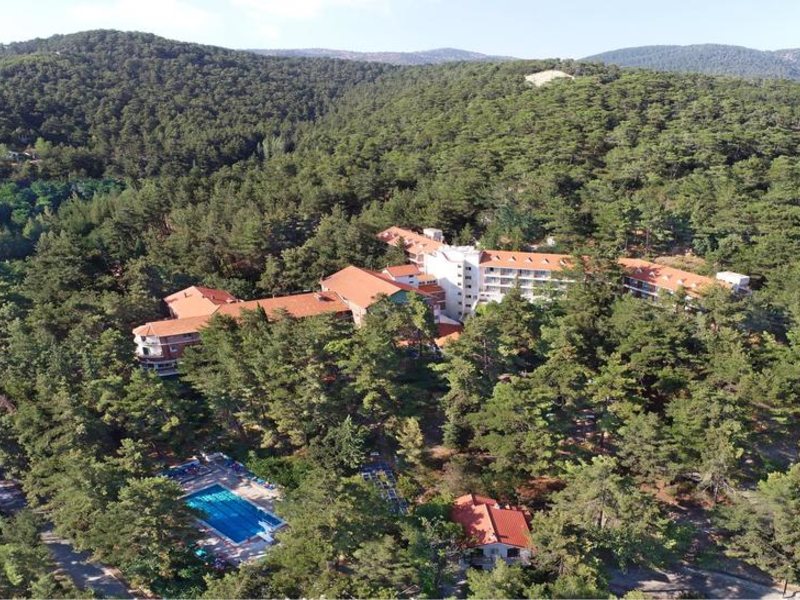 Forest Park Hotel 295111