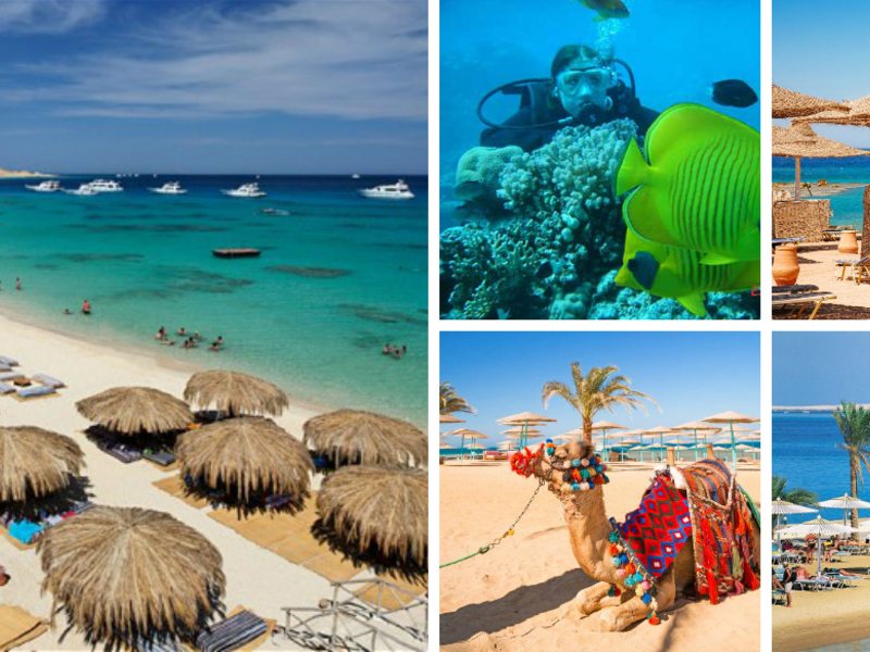 Fortuna Шарм-эль-Шейх 240205