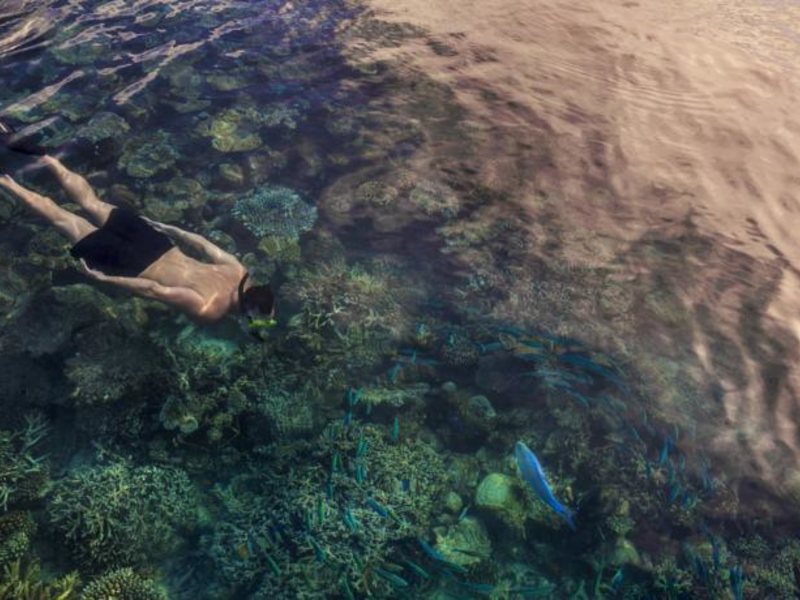 Four Seasons Landaa Giravaru 134856